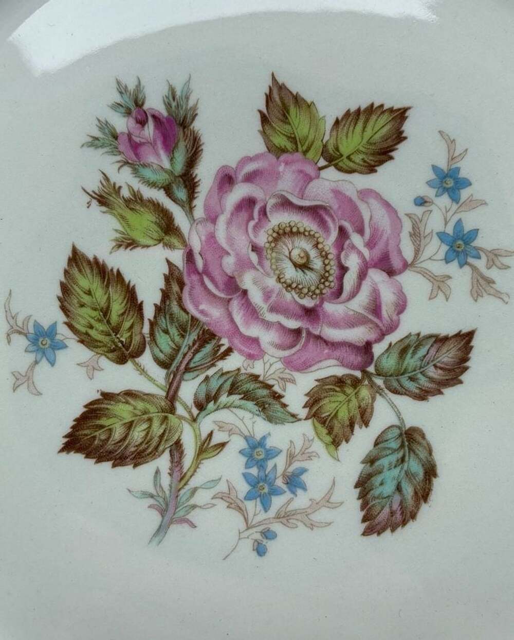 Georgian open Rose Scalloped Salad Plate Pink and Blue Flowers Gold Trim